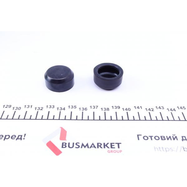 252904 FRENKIT Ремкомплект супорта (заднього) Iveco Daily 99- (d=52mm) (+поршень) (Brembo)