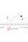 260947 FRENKIT Ремкомплект супорту (переднього) MB E-class (W211/S211) 02-09 (d=60mm) (+поршень) (Bosch)