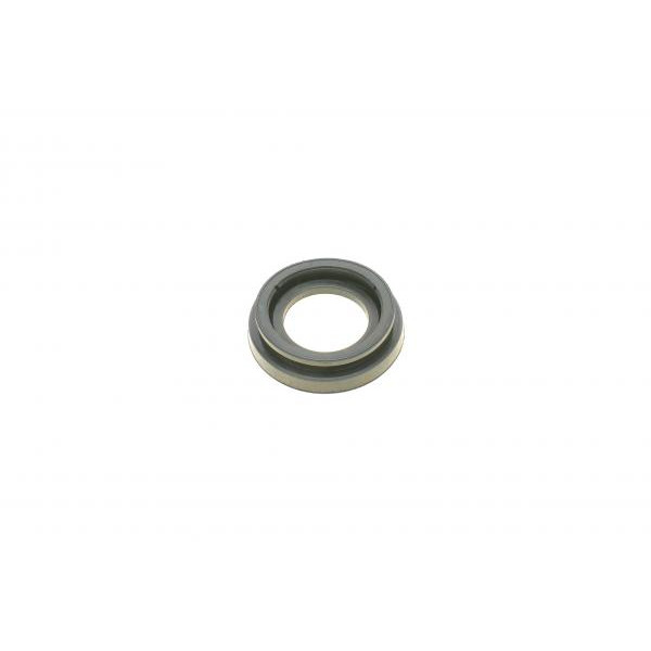 731012 FRENKIT Ремкомплект супорту (заднього) Hyundai Accent/Kia Rio 05-11 (d=30.9mm) (+поршень/напрямна) (Kask)