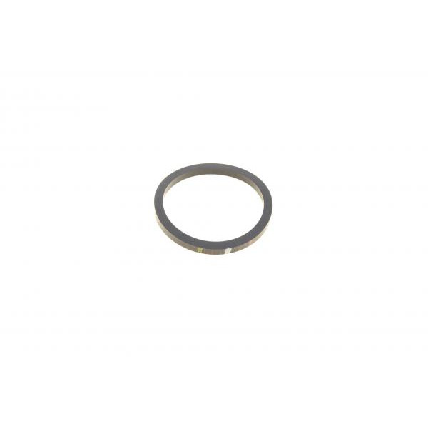 734056 FRENKIT Ремкомплект супорта (заднього) Renault Megane/Scenic 08- (d=34mm) (TRW) (+поршень/напрямна)