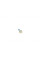 738119 FRENKIT Ремкомплект супорта (заднього) Opel Astra G/Zafira 98-05 (d=38mm) (Bosch) (+поршень/напрямна)