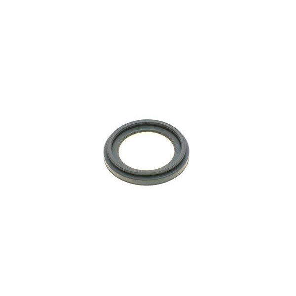 752395 FRENKIT Ремкомплект супорта (заднього) Citroen Jumper/Peugeot Boxer 06- (d=52mm)(Brembo)(+1 поршень/напрямок)