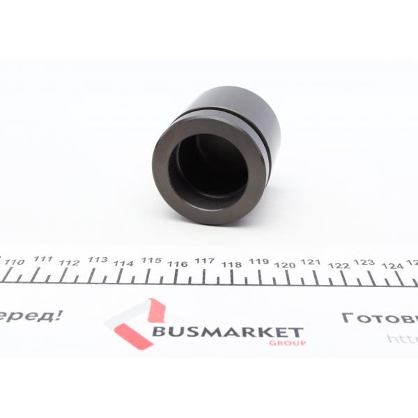 P484805 FRENKIT Поршень супорта (переднього) Audi A2/VW Lupo 98-05 (48x48.3mm)