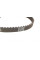 KP7651 GRAF Комплект ГРМ + помпа VW Golf/Jetta/Polo/Seat Toledo/Leon 1.6 16V/FSI 00-05 (130x20 / 58x17) (PA765)