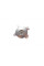 PA1435 GRAF Помпа води Ford Focus IV/Mondeo V/Fusion/USA Edge 2.0EcoBlue 18- (R/B) (7 лоп)