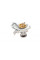 PA612 GRAF Помпа води Ford Fiesta IV/V/Focus/Fusion 1.25/1.4/1.6 95-/Mazda 2 03-05/Volvo 05-07 (R/B) (6 лоп)