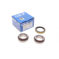 GK1333 GSP Підшипник маточини (задньої) Ford Escort 90-99/Mazda 121 96-03 (29x50.3x17.5)(к-кт)