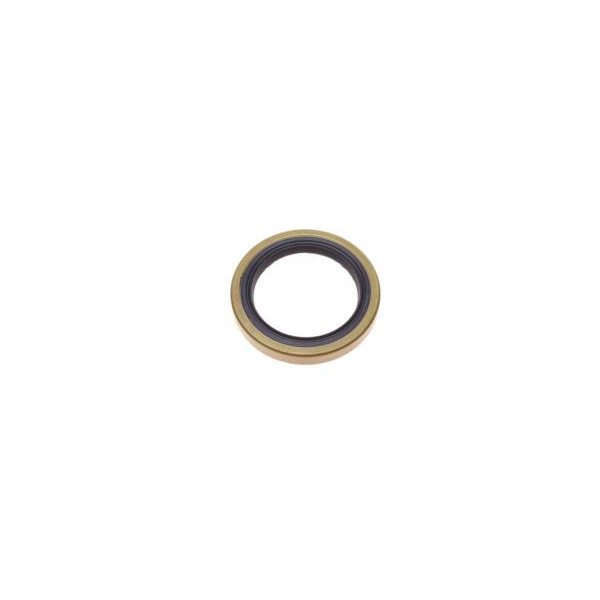 GK1333 GSP Підшипник маточини (задньої) Ford Escort 90-99/Mazda 121 96-03 (29x50.3x17.5)(к-кт)