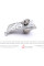 PK08420 HEPU Комплект ГРМ + помпа Renault Kangoo 1.6 16V 01-