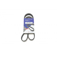1023SK6 HUTCHINSON Ремінь генератора Ford Fiesta VI 1.25 08-