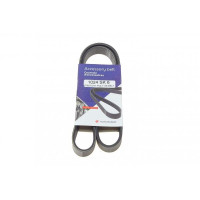 1024SK6 HUTCHINSON Ремінь генератора Ford Fiesta VI 1.25 08- (6PK1024)