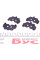 181645 ICER Колодки гальмівні (задні) Hyundai Tucson 04-/Santa Fe/Getz/Sonata 98-12/Kia Sportage/Carens 04-