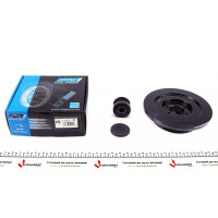 171015KIT IJS GROUP Шків колінвалу + шків генератора BMW 3 (E36)/5 (E34/E39) 2.5td/tds 91-04
