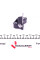 401032FK IJS GROUP Комплект ланцюга ГРМ Smart 0.8CDi 07-