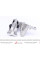 36894 IMPERGOM Подушка двигуна (R) Renault Fluence/Scenic/Megane III 1.6 16V 08-