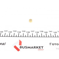 40938 IMPERGOM Заглушка блоку циліндрів (d=8mm) Латунь/Brass