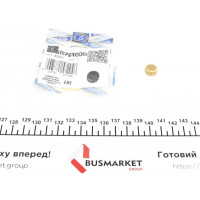 40941 IMPERGOM Заглушка блока цилиндров (d=12mm) Латунь/Brass