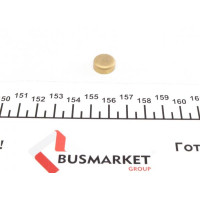 40943 IMPERGOM Заглушка блоку циліндрів (d=13,5mm) Латунь/Brass