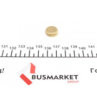 40947 IMPERGOM Заглушка блоку циліндрів (d=16mm) Латунь/Brass