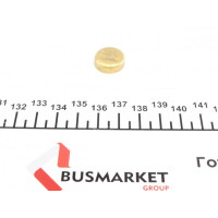 40948 IMPERGOM Заглушка блоку циліндрів (d=16,5mm) Латунь/Brass