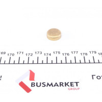 40949 IMPERGOM Заглушка блоку циліндрів (d=17,4mm) Латунь/Brass