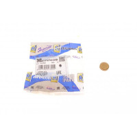 40952 IMPERGOM Заглушка блоку циліндрів (d=19,5mm) Латунь/Brass
