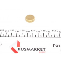 40953 IMPERGOM Заглушка блоку циліндрів (d=20mm) Латунь/Brass