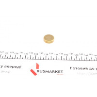 40958 IMPERGOM Заглушка блоку циліндрів (d=24,3mm) Латунь/Brass