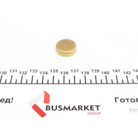 40990 IMPERGOM Заглушка блоку циліндрів (d=22mm) Латунь/Brass