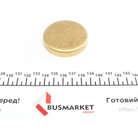 40995 IMPERGOM Заглушка блоку циліндрів (d=55.6mm) Латунь/Brass