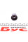 420004910 INA Гідрокомпенсатор BMW 3 (E36/E46)/5 (E34/E49) 91-, M50/M52/M54