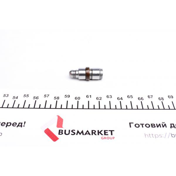 420017210 INA Гідрокомпенсатор VW T5/Golf/Passat 2.3-3.2 99- (12mm), BDL/BKK/CFLA