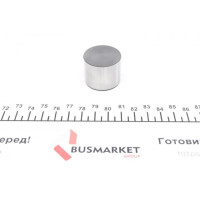 421002910 INA Гідрокомпенсатор Lexus GS/LS 97-06