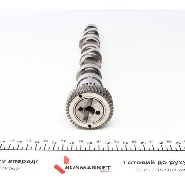 428015810 INA Розподільний вал VW Passat 2.5 TDI 98-05; AFB, AKN, 110kw