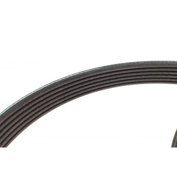529029210 INA Комплект ременя генератора Citroen Jumpy/Peugeot Expert 2.0D 16- (6PK 1230)