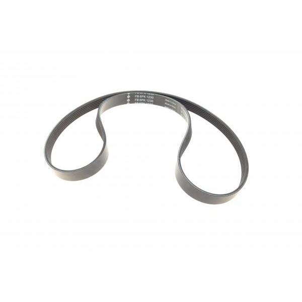 529029210 INA Комплект ременя генератора Citroen Jumpy/Peugeot Expert 2.0D 16- (6PK 1230)