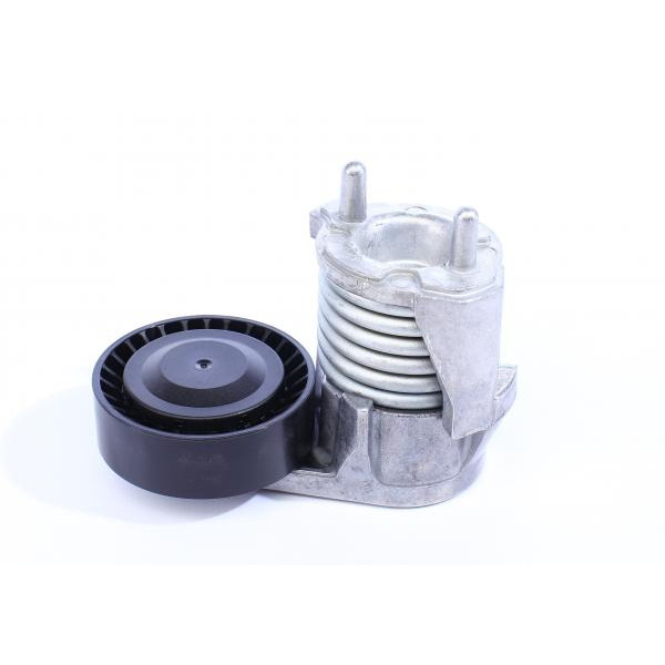 529049010 INA Комплект ременя генератора Ford Kuga I, 2.5, 02/08 - 11/12 (6DPK1817 + 5PK848)