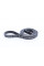 529049010 INA Комплект ременя генератора Ford Kuga I, 2.5, 02/08 - 11/12 (6DPK1817 + 5PK848)