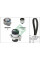 530020130 INA Комплект ГРМ + помпа Seat Ibiza 1.9 TDI/VW Polo 1.4/1.9 TDI 01-09