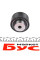 530023510 INA Комплект ГРМ Citroen Jumpy 2.0HDi (144x25.4), 80kw, DW10ATED4
