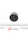 530023710 INA Комплект ГРМ Citroen Berlingo/Peugeot Partner 1.6 16V 00-11
