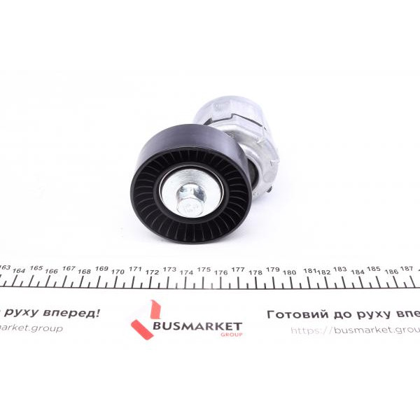 534012530 INA Натягувач ременя генератора Ford Fiesta/Escort 1/3i 91-03