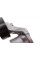534055310 INA Натягувач ременя генератора Citroen C1/Peugeot 108 1.0 VTi 14-