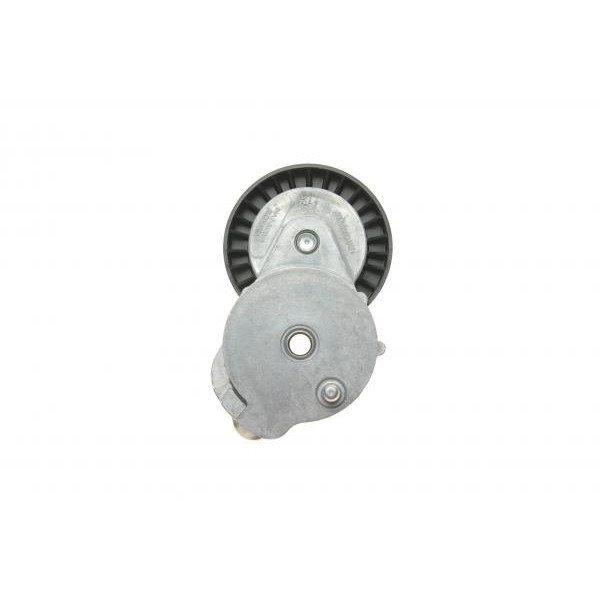 534060410 INA Натягувач ременя генератора Ford Mondeo/Volvo V50/V60/V70/S80 2.4/2.5D 06-