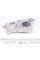 538009710 INA Помпа води Toyota Avensis/Corolla/Previa/Rav 4 II 2.0D 99-07