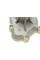 538030510 INA Помпа води Opel Astra F 1.7TDS/TD 91-98/Combo 1.7D 94-01/Corsa A/B 1.5D/TD/1.7D 87-00/Kadett E 1.5TD