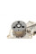 538081910 INA Помпа води Audi A1/Seat Ibiza/Skoda Fabia/Rapid/VW Polo 1.4TDI 14- (R/B 4PT) (7 лоп)