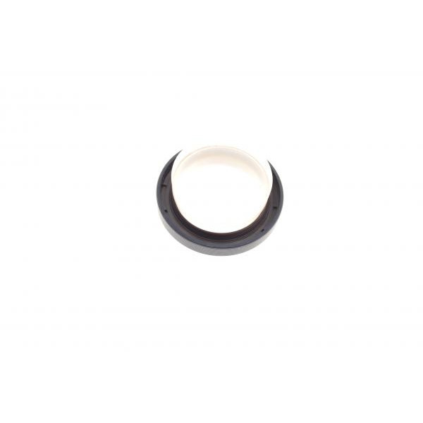 560000610 INA Комплект регулювання фаз газорозподілу Citroen C2/C3/C4/Peugeot 1007/206/207/307 1.4 16V 03-