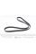 FB5PK1230 INA Ремінь генератора Opel Astra G 1.2i/1.4i 04-