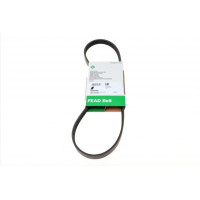 FB5PK890 INA Ремінь генератора BMW 3 (E36)/5 (E34) 90-00 / Ford Focus 2.5 05-12